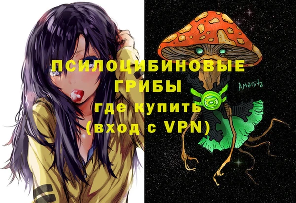 дмт Покровск