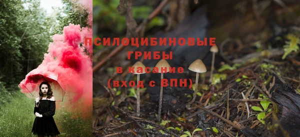дмт Покровск