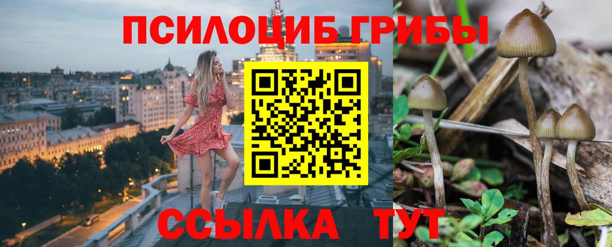 Армавир  Псилоцибиновые грибы мухоморы  Вход с VPN 