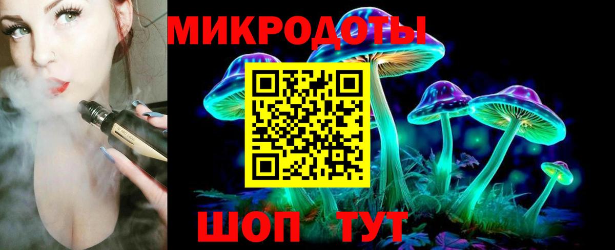 Галлюциногенные грибы Psilocybine cubensis Армавир